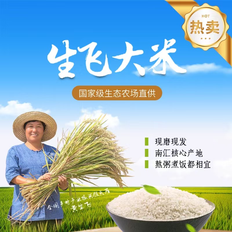 浦东新区 生飞大米5kg装